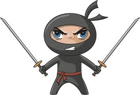 Does anybody like ninjas