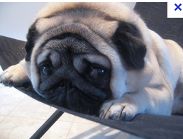 How do you deal with stressing situations? How do you deal with stressing situations?
