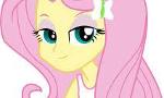 Did anyone else notice that in the movie "Equestria Girls" Fluttershy wears eyeshadow?