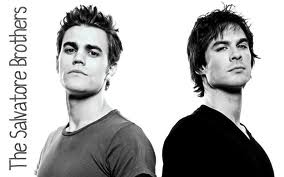 who better Damon Salvatore or Stefan Salvatore?