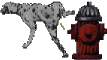 whats your favourite type of dog? whats your favourite type of dog?