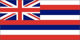 Doesn't The Hawaiin Flag Look So Cool