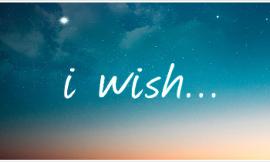 You have one wish