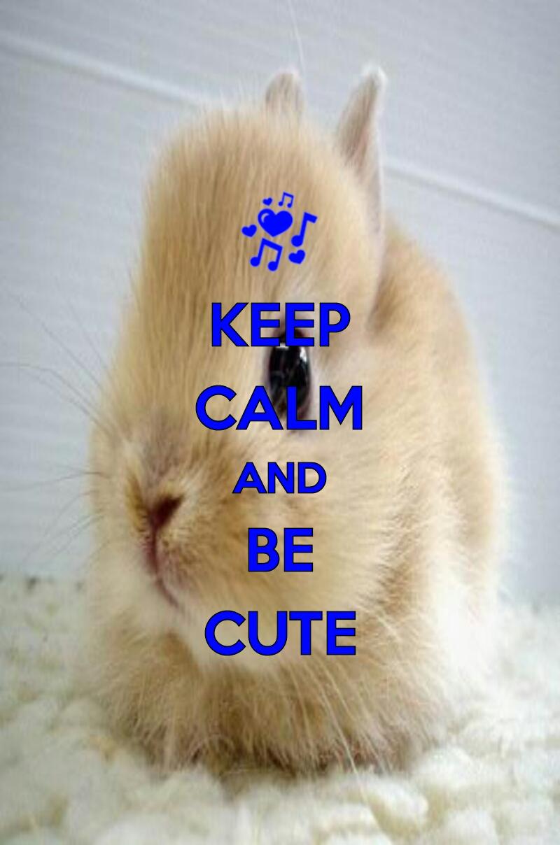 Do you think i should keep this as my profile pic? Do you think i should keep this as my profile pic?