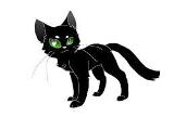 In the book where Hollyleaf died do you think she should stay alive or stay dead?
