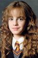 If Hermione is so smart, why is she in Griffindor?