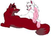 Should foxy be with mangle ?