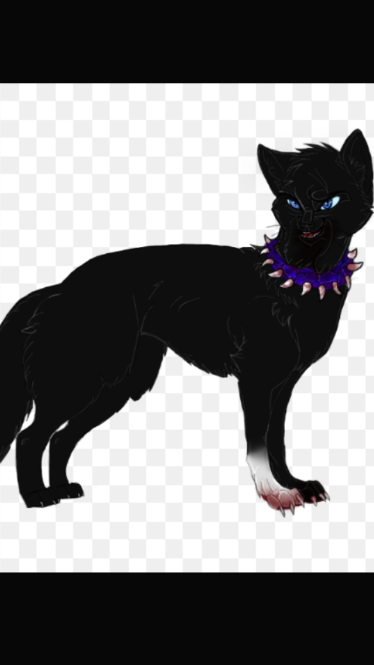 Why do people LOVE scourge in warriors? Why do people LOVE scourge in warriors?