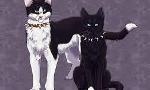 Who is your favorite evil warrior cat?