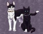 Who is your favorite evil warrior cat?