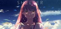 Has anybody watched Shelter music video?