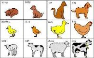 What's your fav animal?
