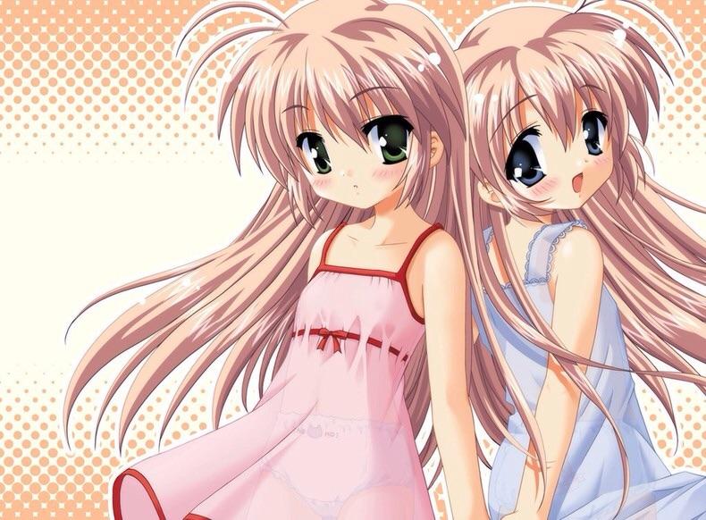 What anime are the twins in the picture from?