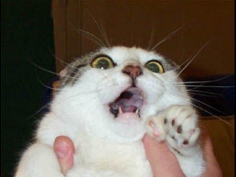 HELP ME i am so scared!