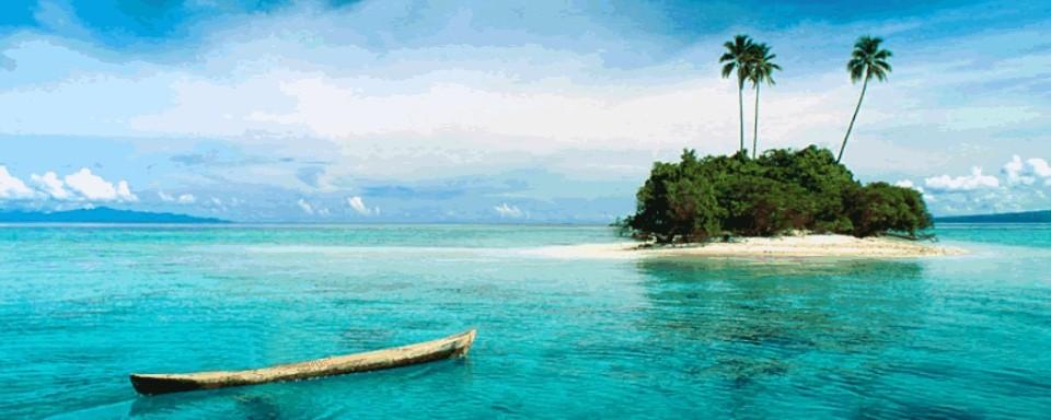 What would you do if you're entire high school class was stuck on a desert island? What would you do if you're entire high school class was stuck on a desert island?