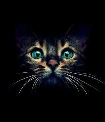 who is the mean one? who is the mean one?