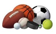What is favor type of sports?