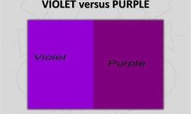 Does or did your art teacher yell at you when you said "purple"?