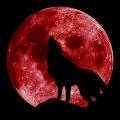 Anybody else see the blood moon last night?