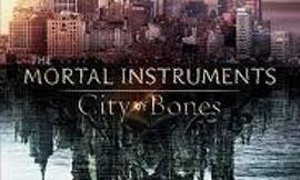 Have you read the Mortal Instruments series?