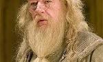 what do you think about dumbledore?!