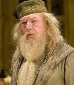 what do you think about dumbledore?!