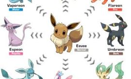 What is your favourite eevee evolution?
