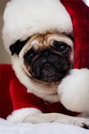 Wha Do You Want For Christmas 2014-2015 Wha Do You Want For Christmas 2014-2015