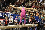 Did anyone beat Nastia Luikin in gymnastics?