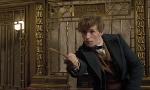 Who's seen Fantastic Beasts and Where to Find Them?