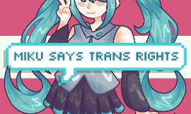 trans rights?