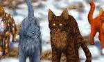 What was the ship you wanted in Warrior Cats?