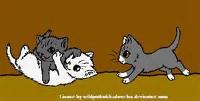 Why dont dewpaw amberpaw and snowpaw look like cloudtail? (warrior cats question)