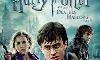 Do you like Harry Potter? And what's your favorite Harry Potter movie?