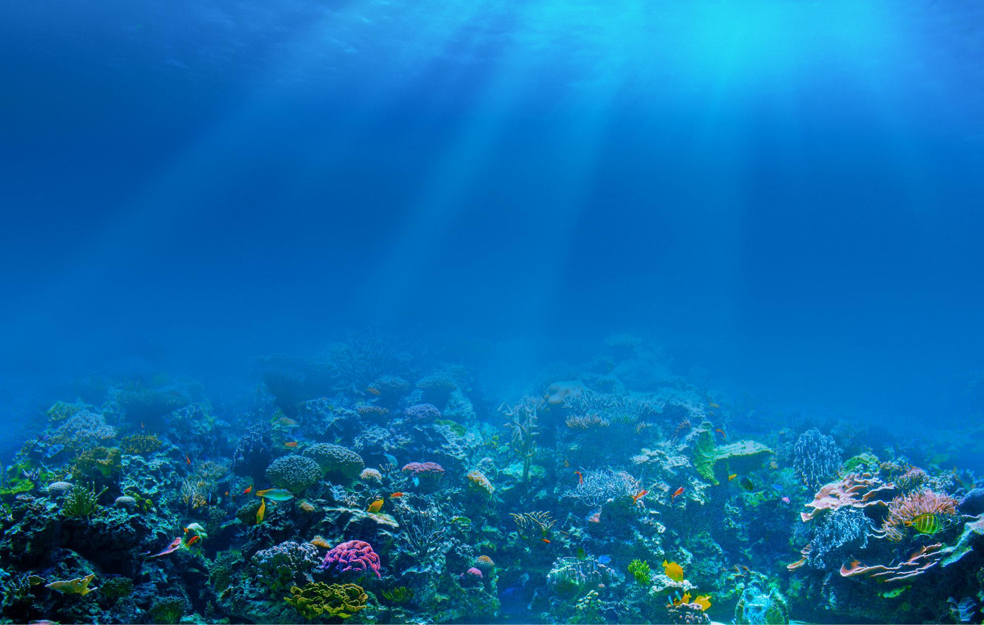 Can humans smell underwater? Why?