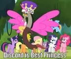 Is Discord is Awesome ?