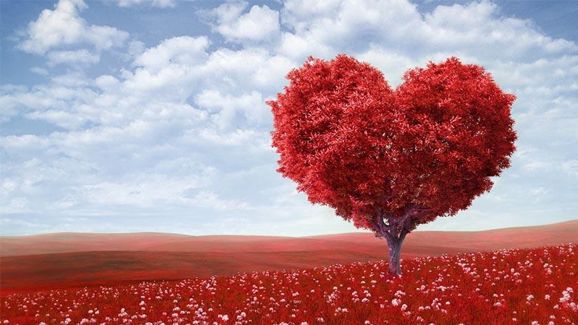 What are you gonna do for Valentines Day ? What are you gonna do for Valentines Day ?
