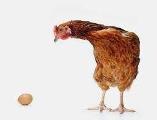 wich came first chicken or de egg?