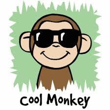 monkeydo800 monkeydo800