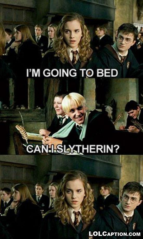 JKRowling's photo