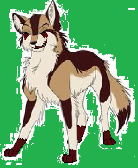 enderwolf enderwolf