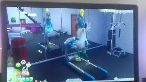 The Sims 4; Llama Unicorns on treadmillls