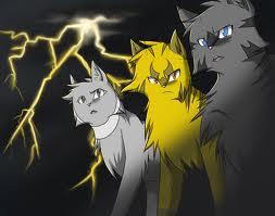 BlackstarOfShadowClan's Photo