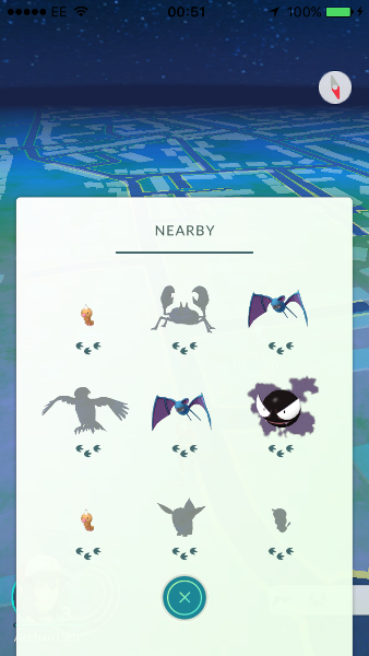 O_O THERES AN EEVEE NEARBY!!!!!!