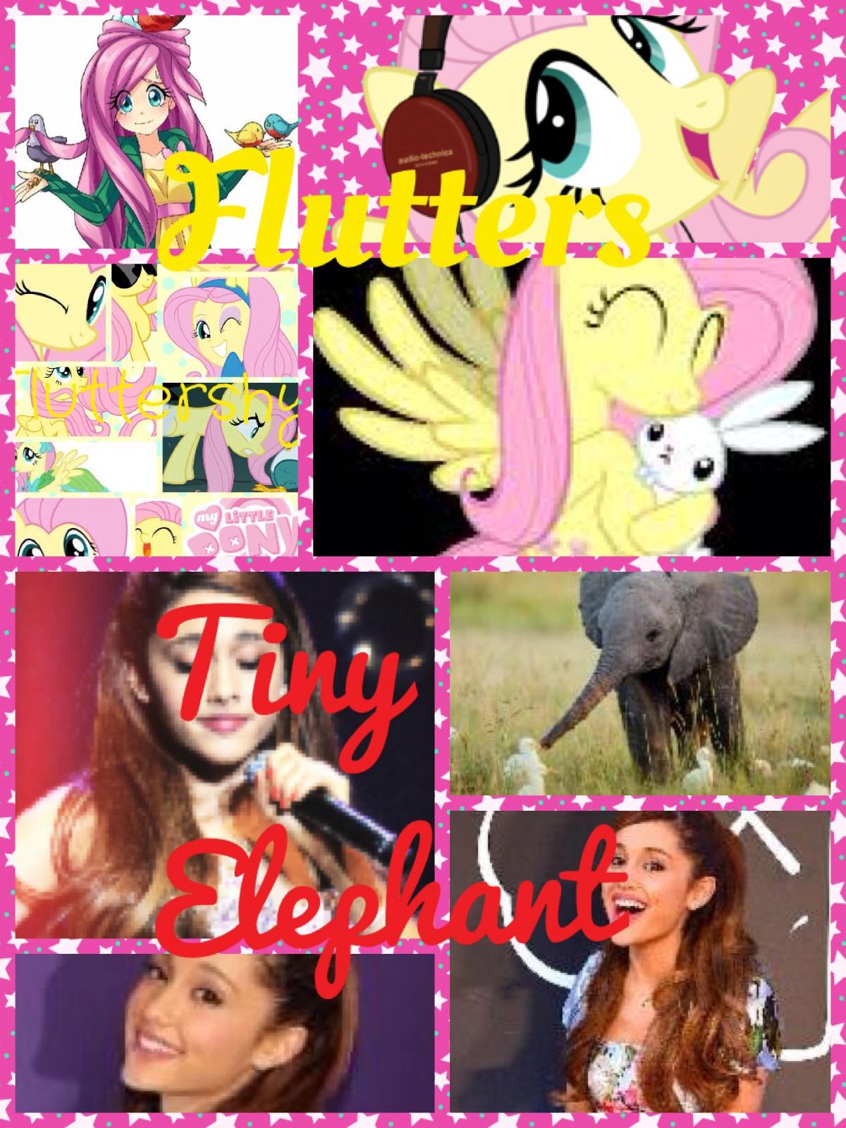 TinyElephant_And_Flutters TinyElephant_And_Flutters