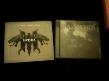 bvb and wt :D