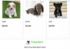 BISH WHY TF ARE PUPPIES OVER $5,500!?