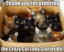 I would Order!!!