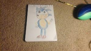 The drawing of sonic