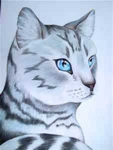 SilverKitten SilverKitten